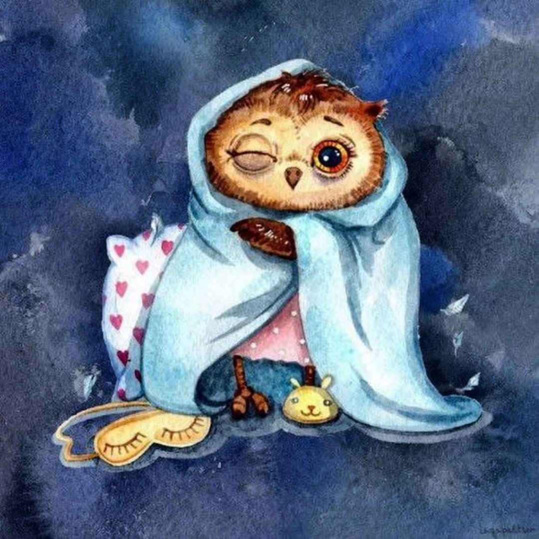 Доброе утро Сова