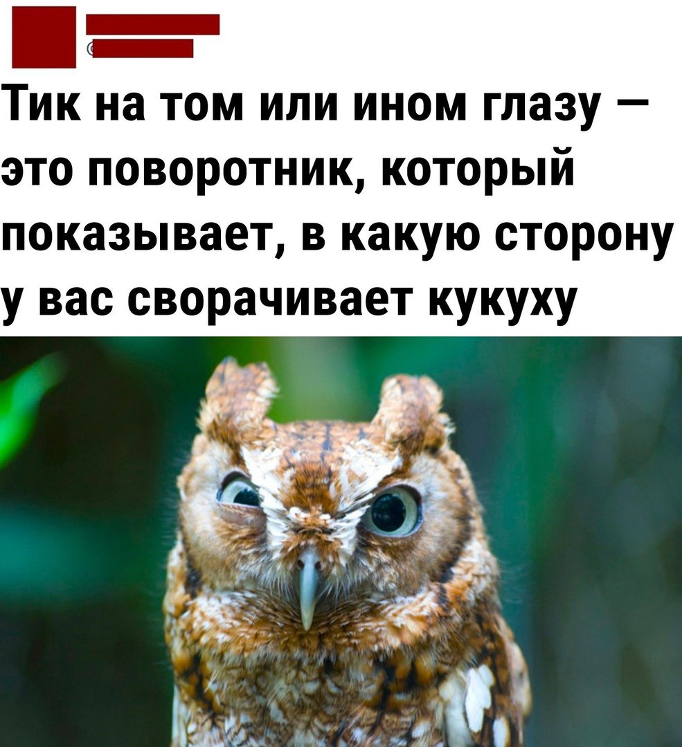 Поздравления с добрым утром прикольные