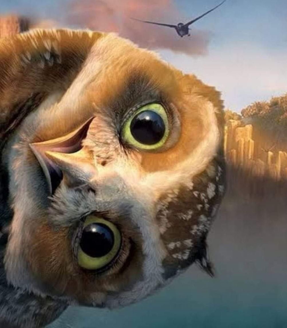 Сова с кофе