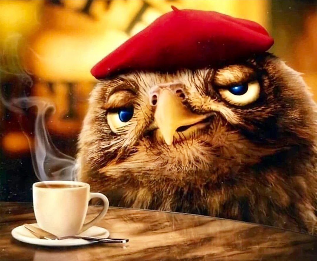 Сова с кофе