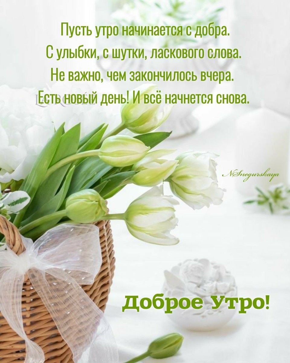 Чудесного летнего утра