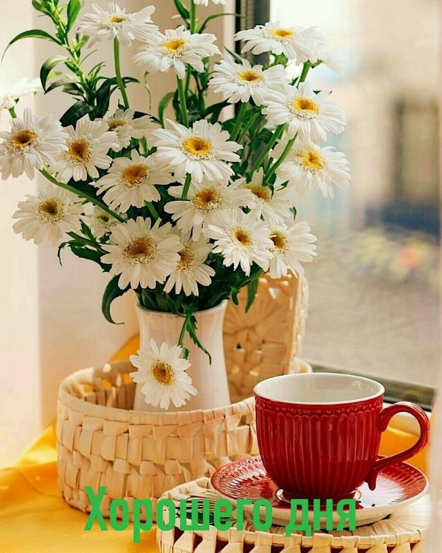 Поздравление с добрым летним утром