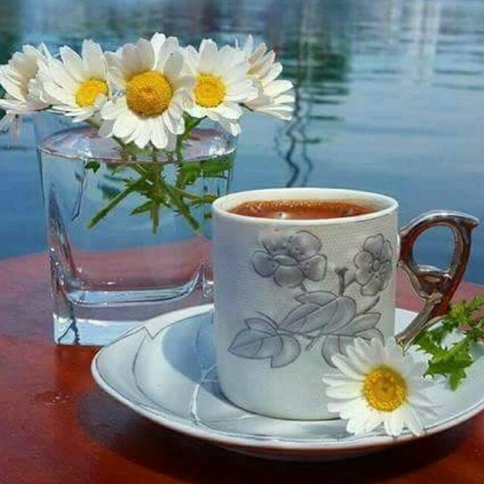 Доброе утро прекрасного настроения