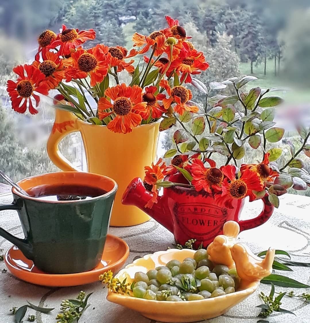 Чудного летнего доброго утра