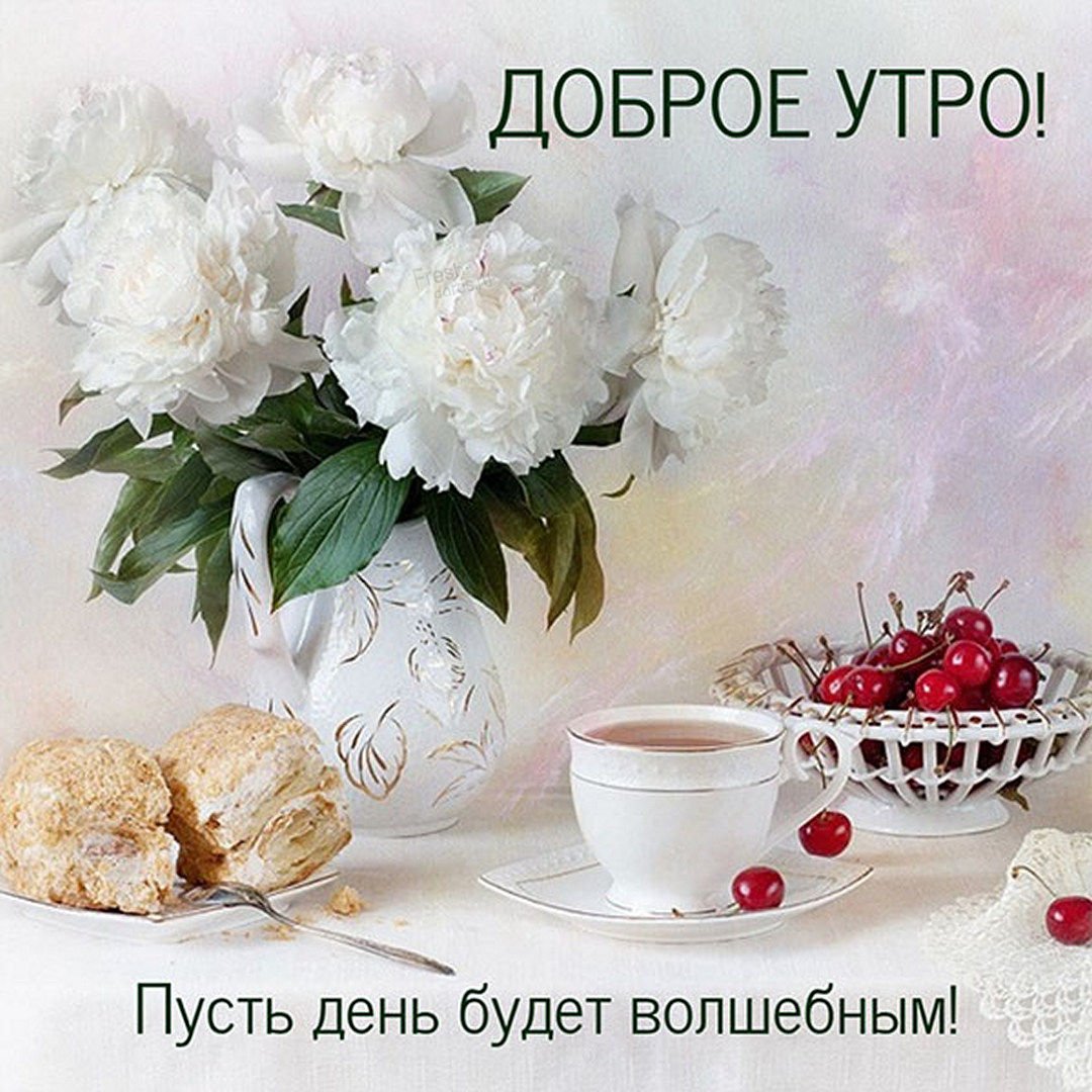 Пионы с пожеланиями хорошего дня