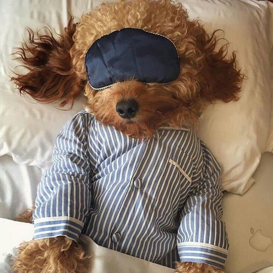 Доброй ночи Инстаграмм