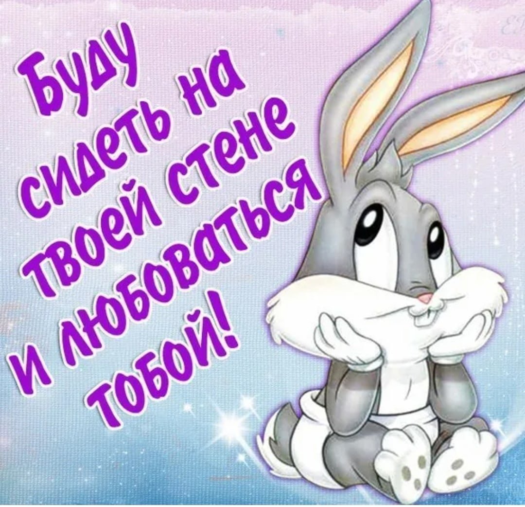 Заяц Шнуфель