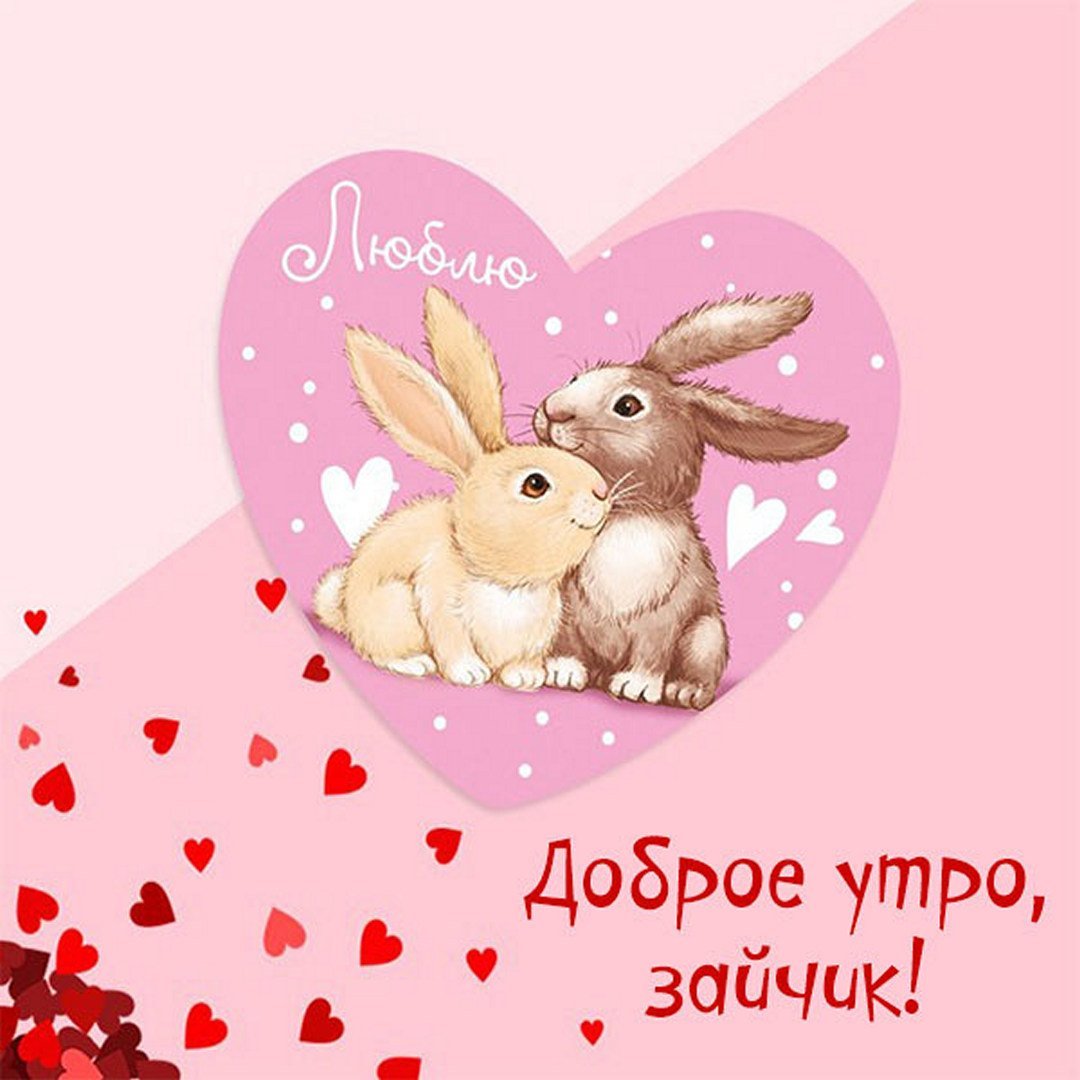 С добрым утром зайчик