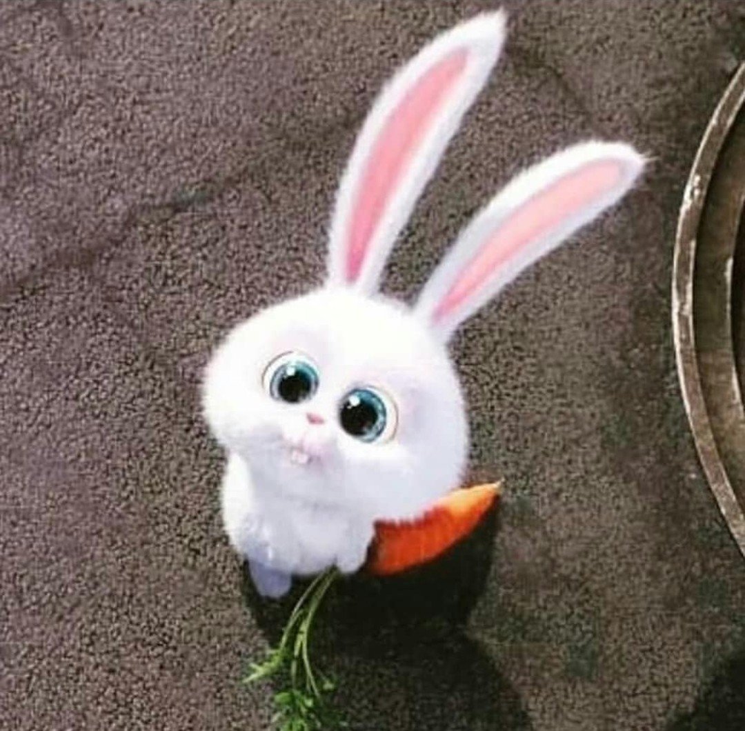 Кролик с высунутым языком