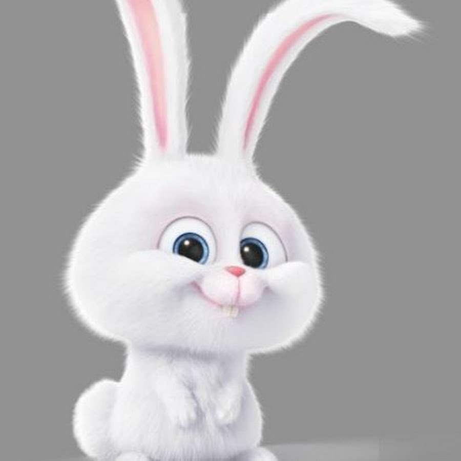 Зайчик Юлий