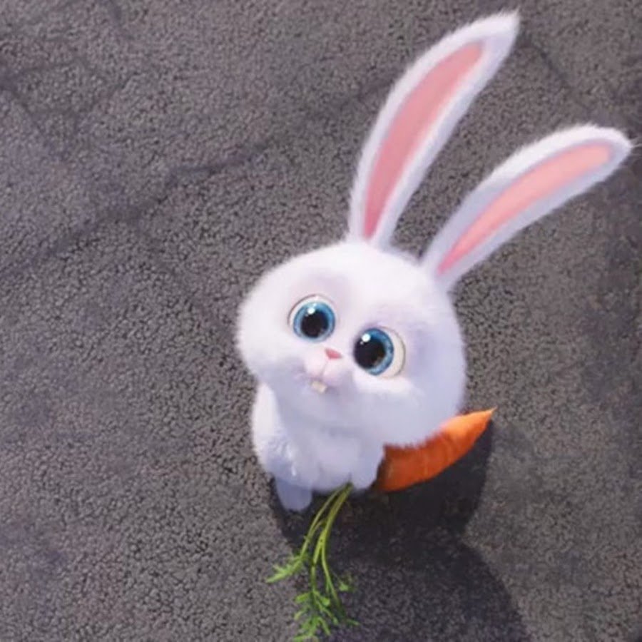 Привет зайка картинки