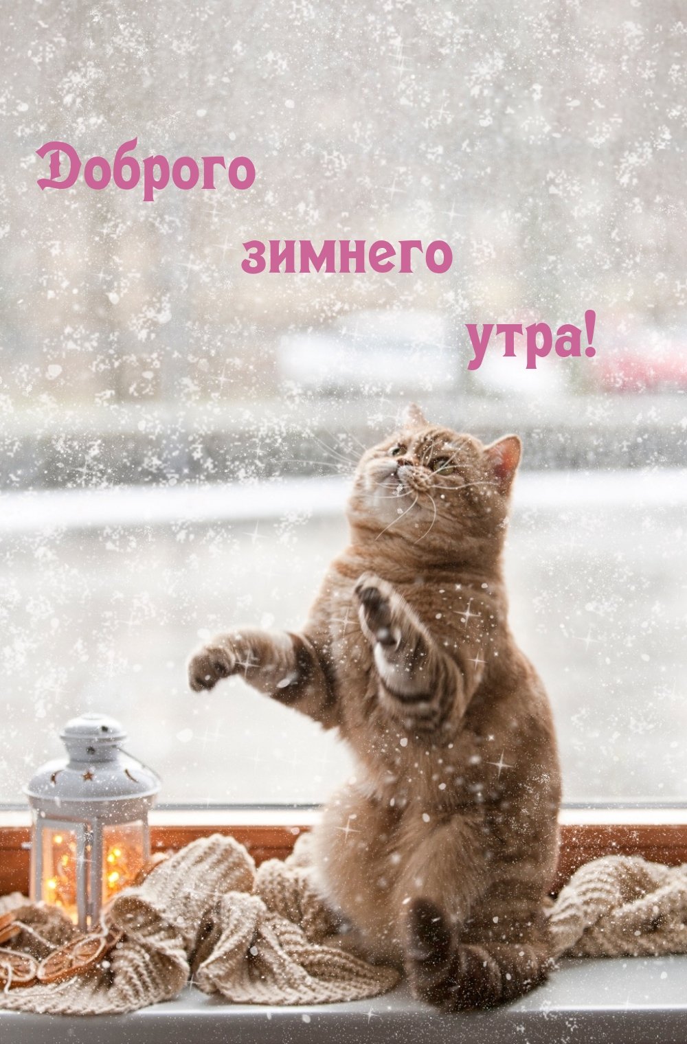 Доброе дождливое и Снежное утро