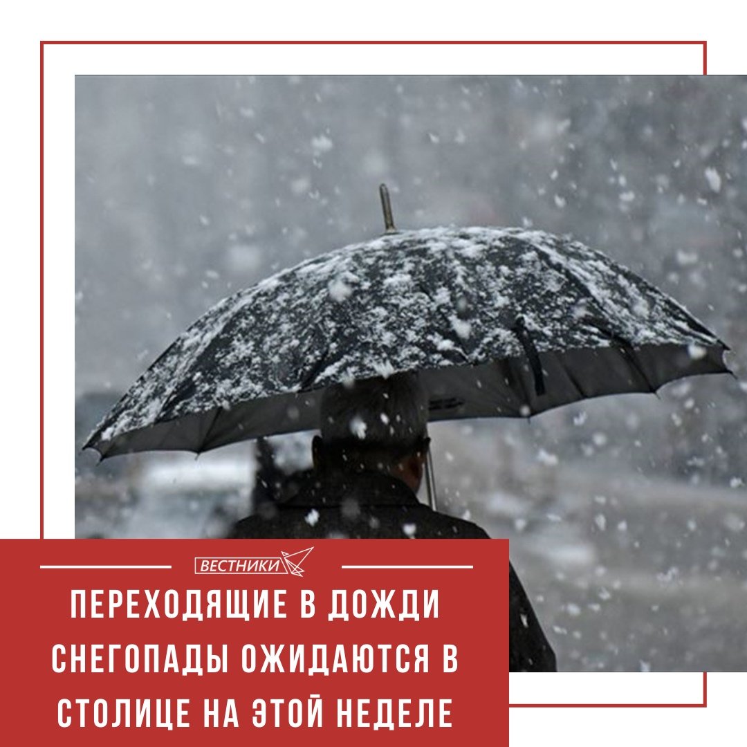 Дождливое утро декабря