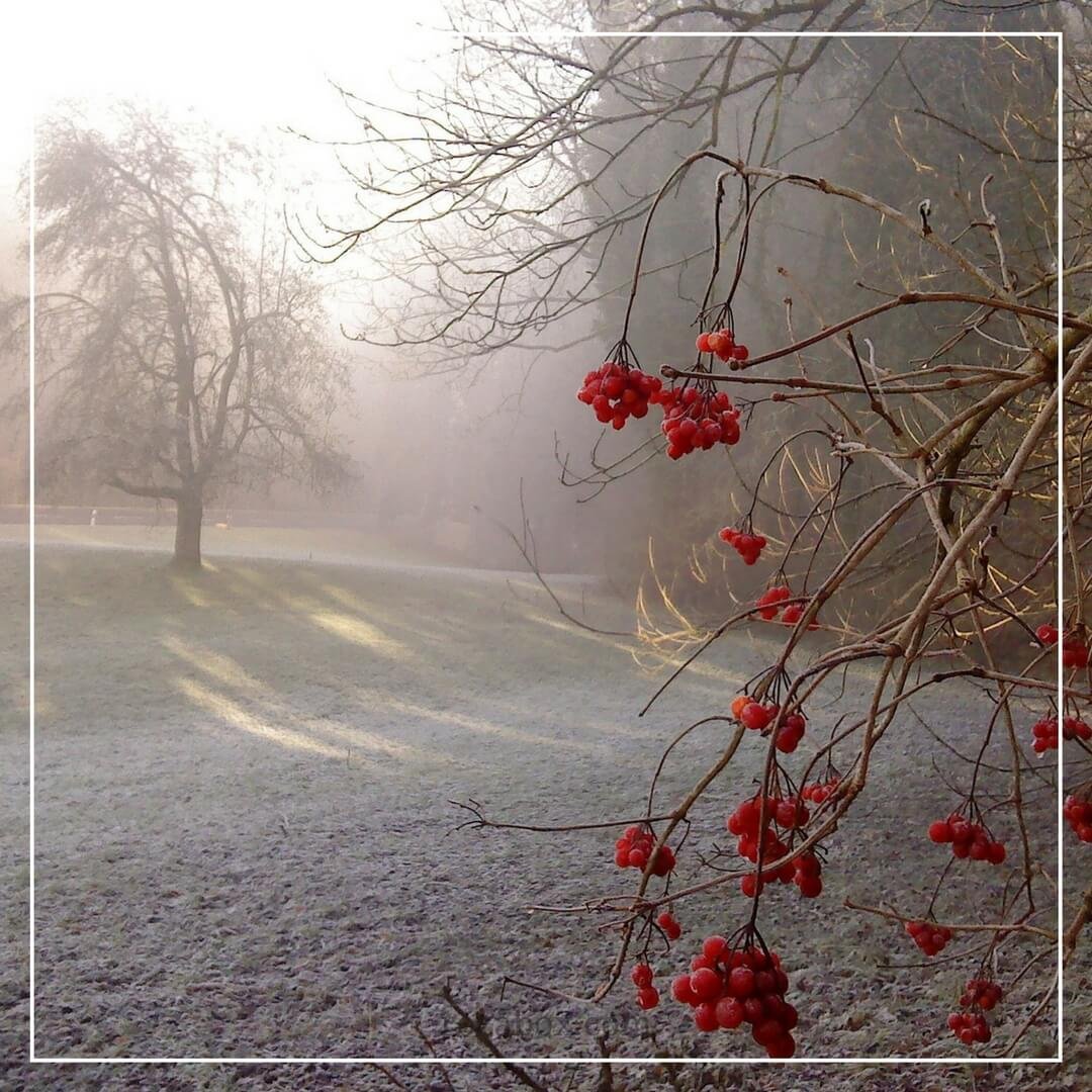 Художник Дмитрий Левин "зимний деревенский пейзаж ".