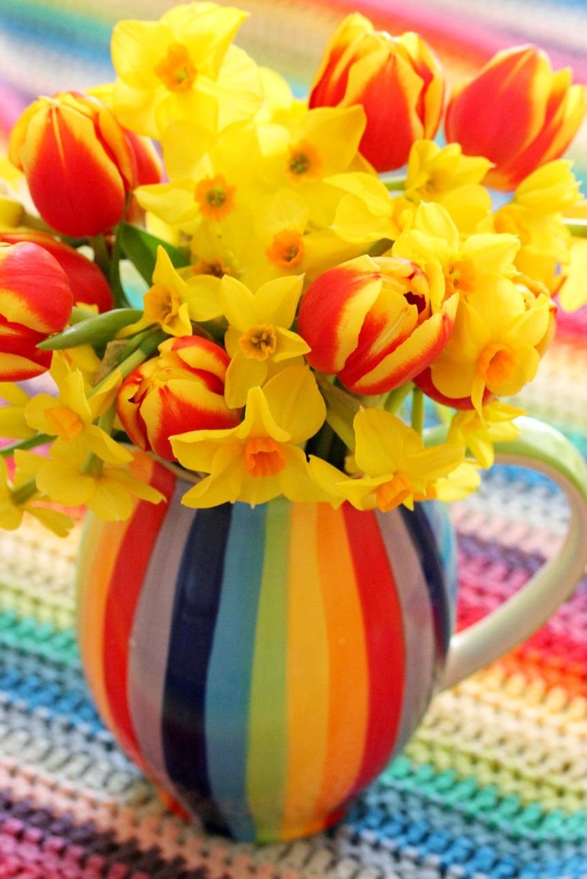 Яркие солнечные цветы