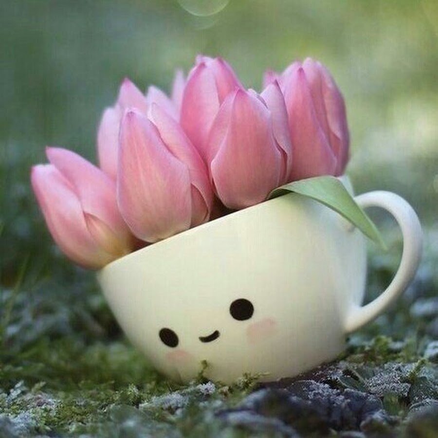 СЦП 1254 чашка