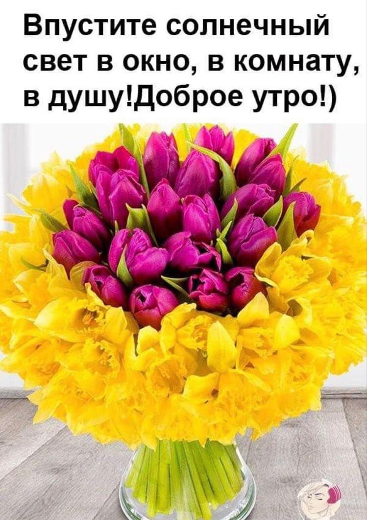 Открытки добрый день с тюльпанами