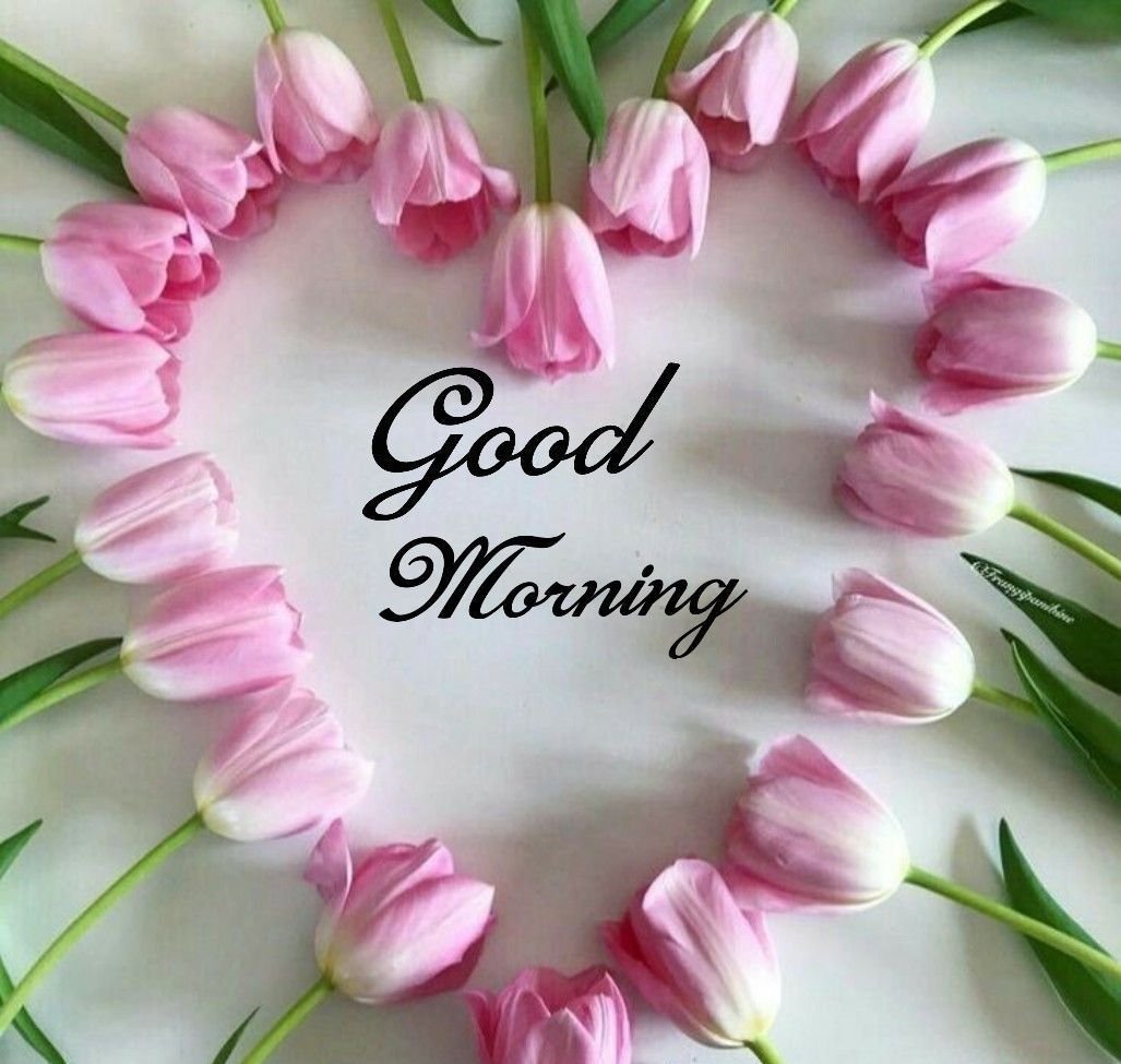 Открытки доброе утро хорошего дня