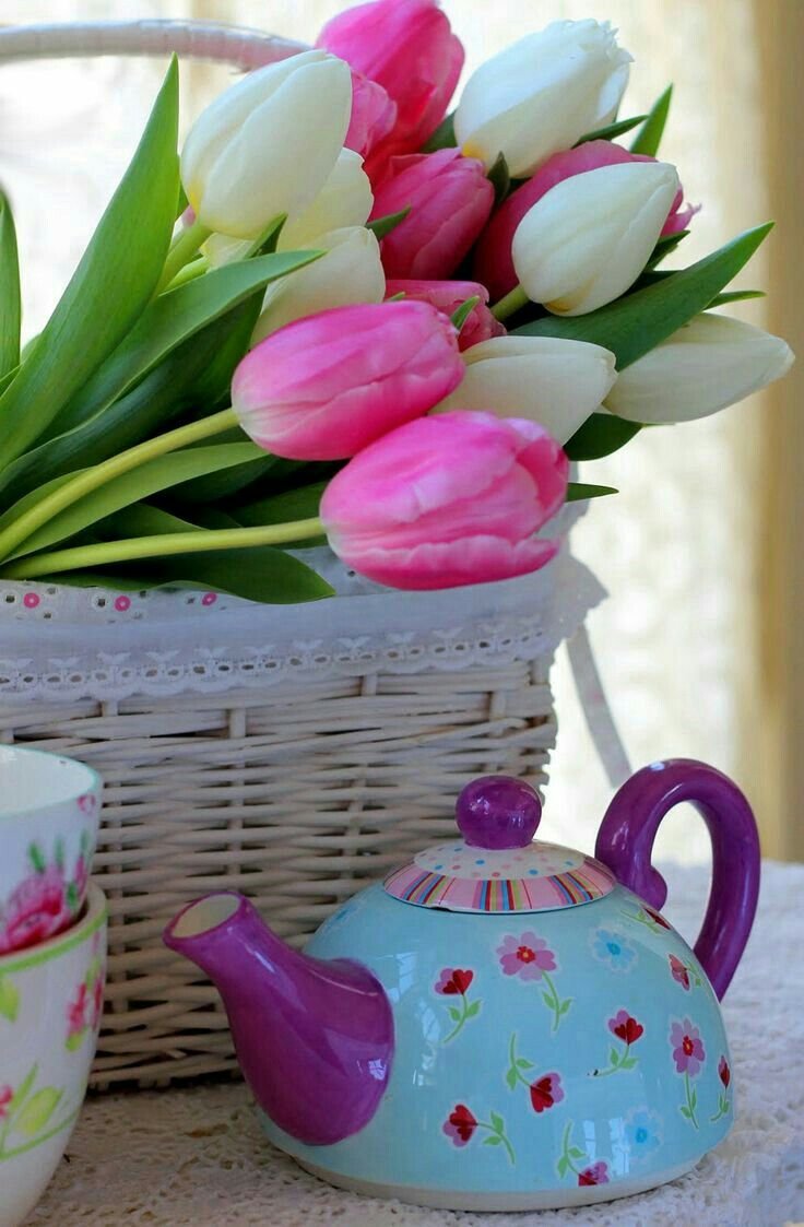 Утренние тюльпаны