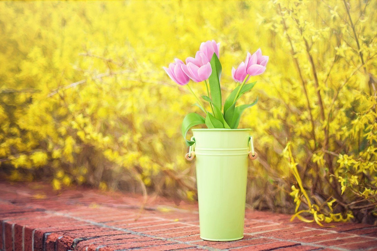 Мира и добра вам и вашим близким