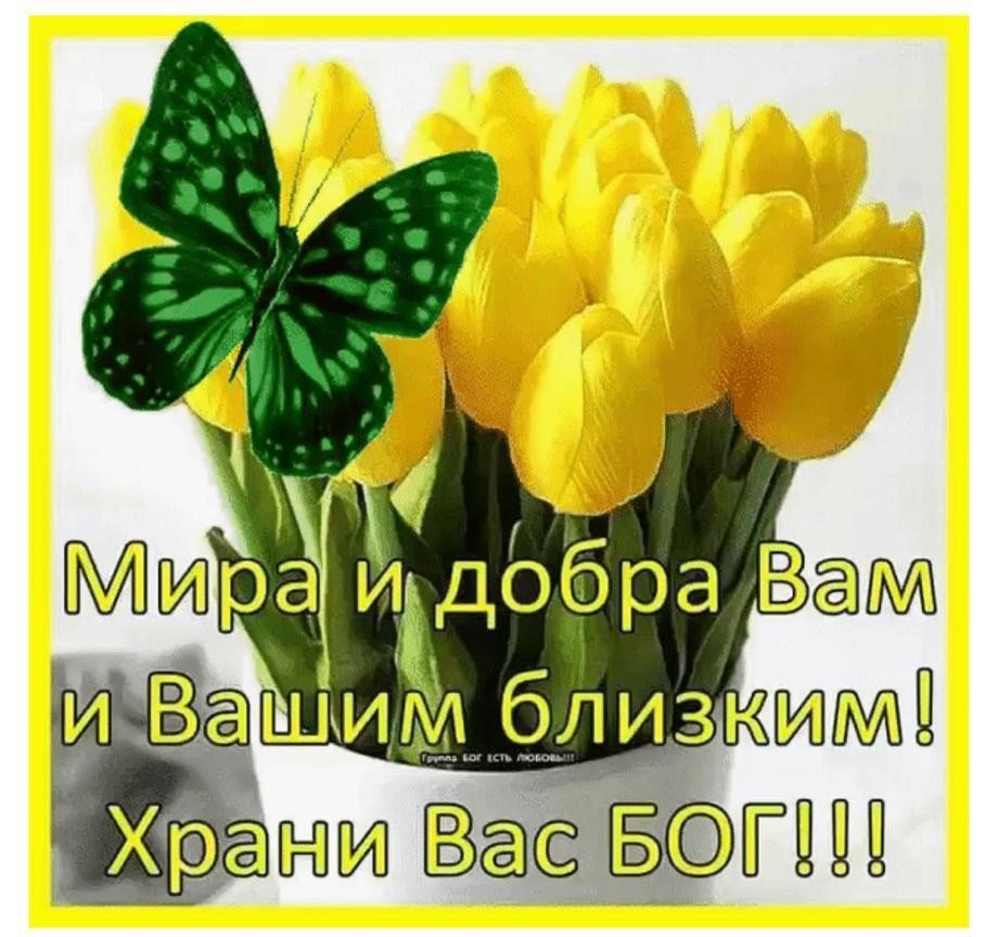 Тюльпаны в вазе