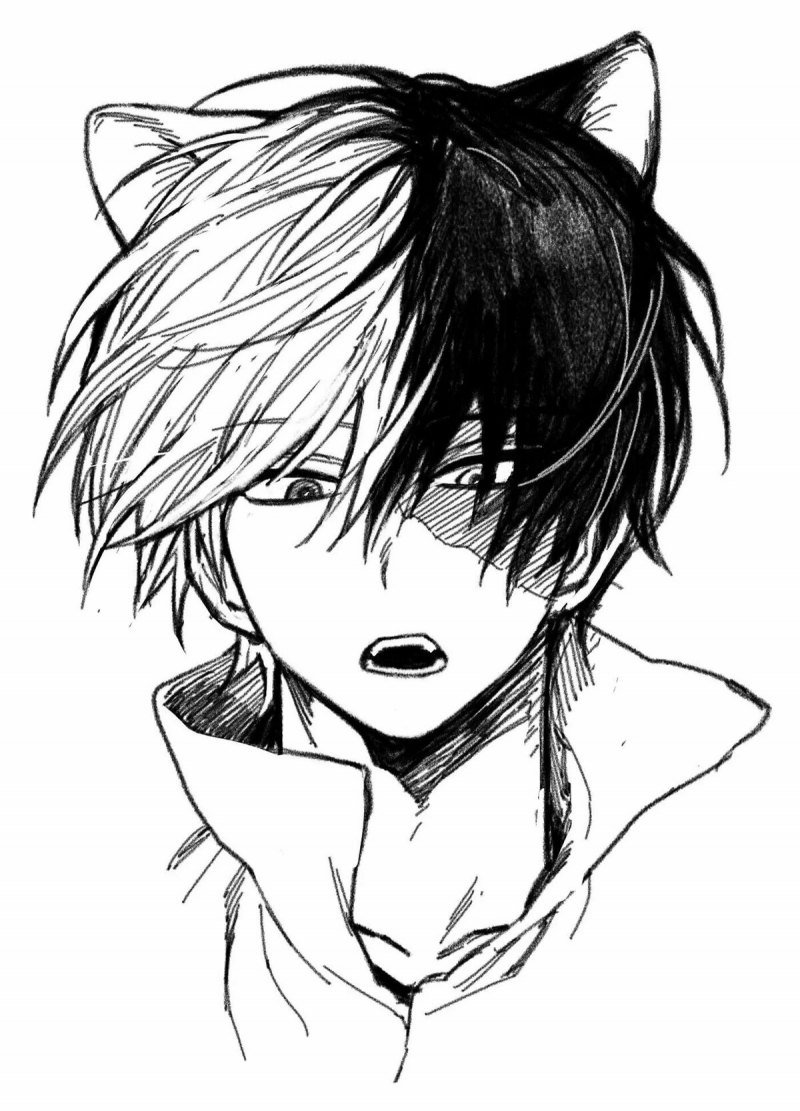 Тодороки шото