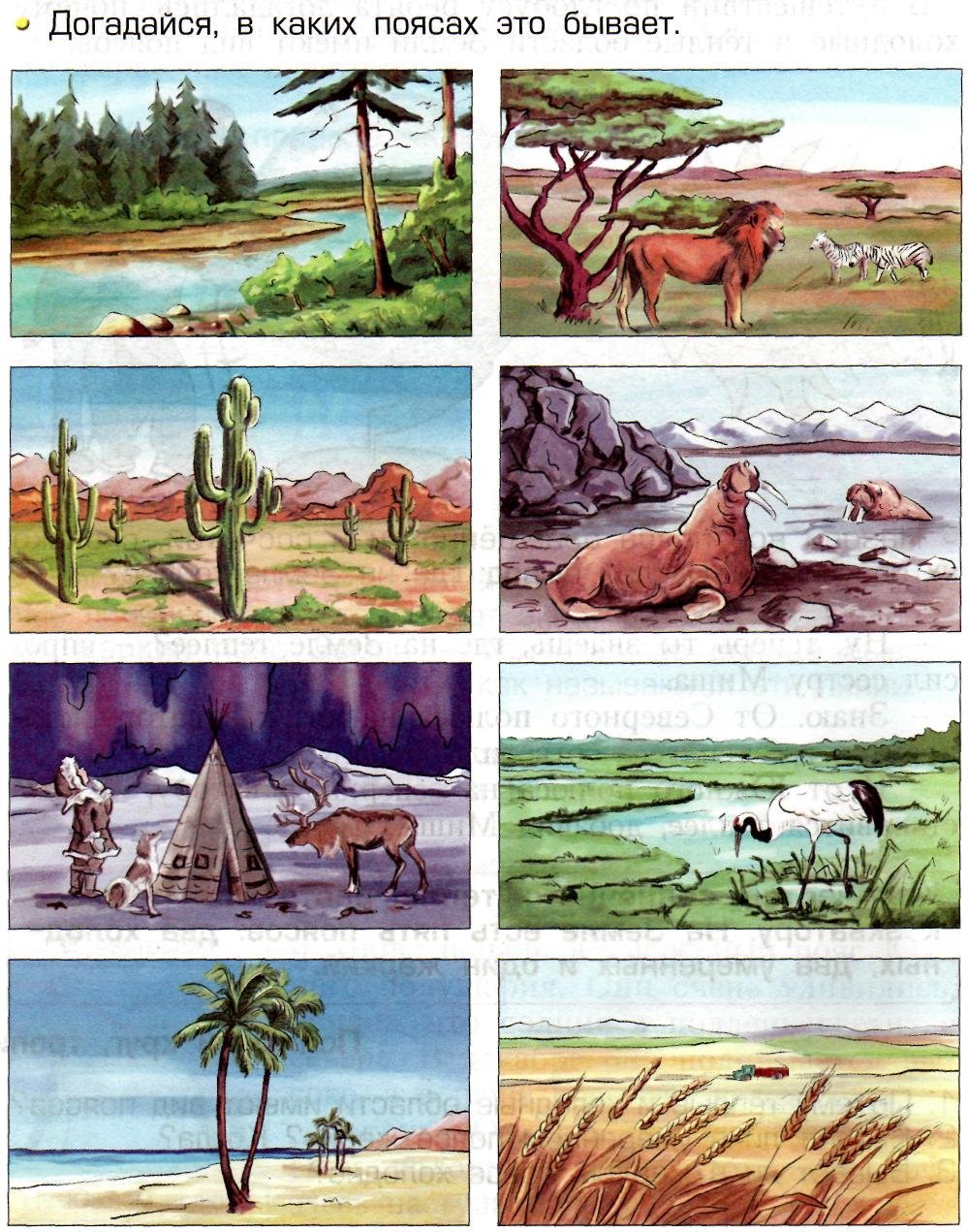 Природные зоны иллюстрации