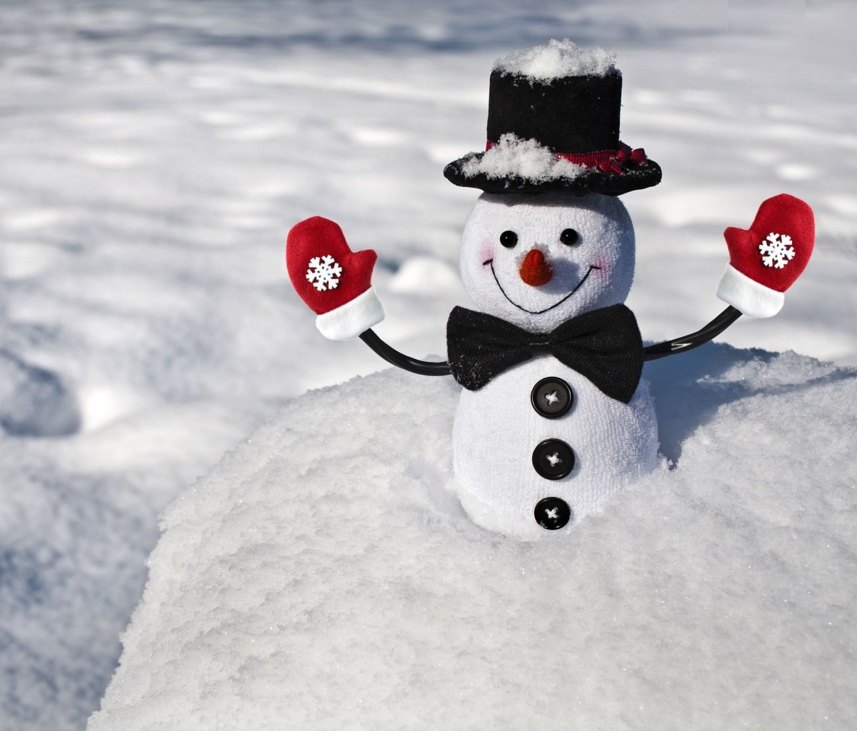 Зимние животные