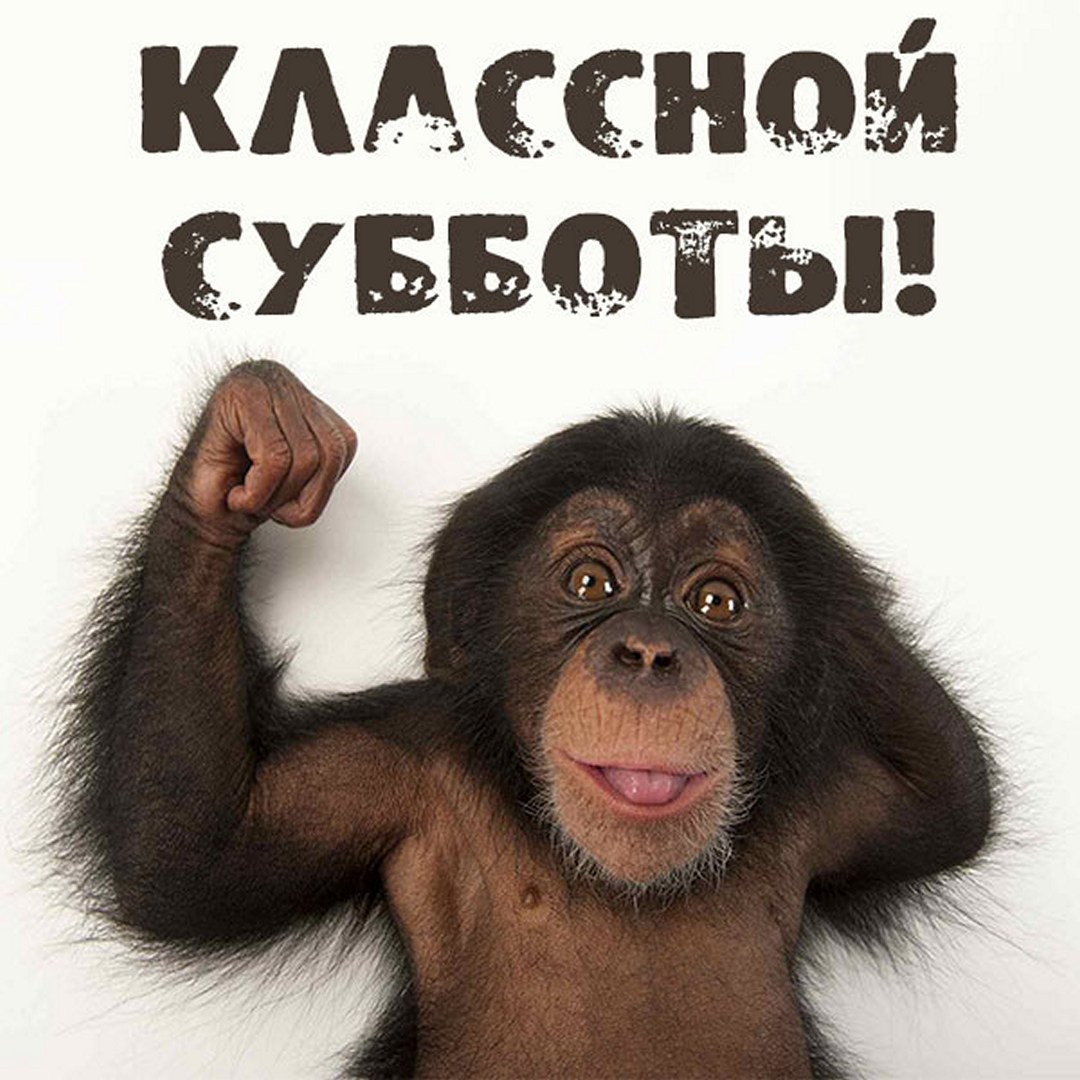 Позитивные пожелания на день