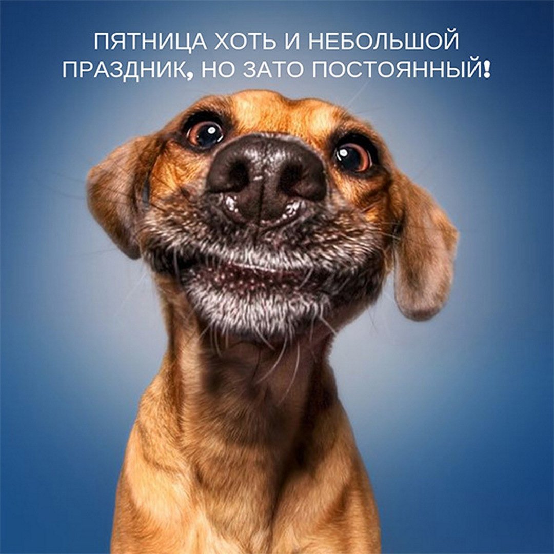 Доброе утро четверга