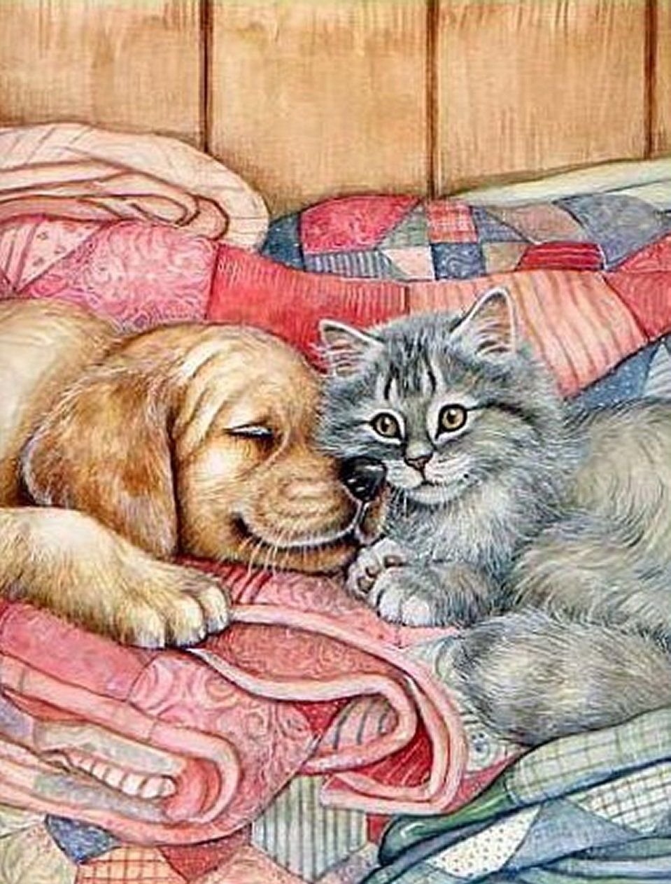 Спокойной ночи, кошки,собаки