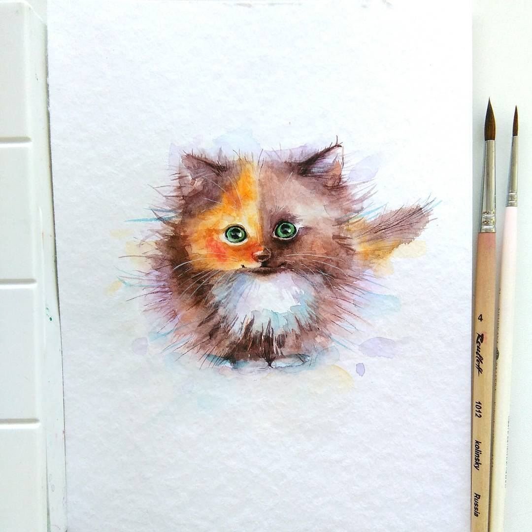 Евгения Соловьева художница иллюстрации