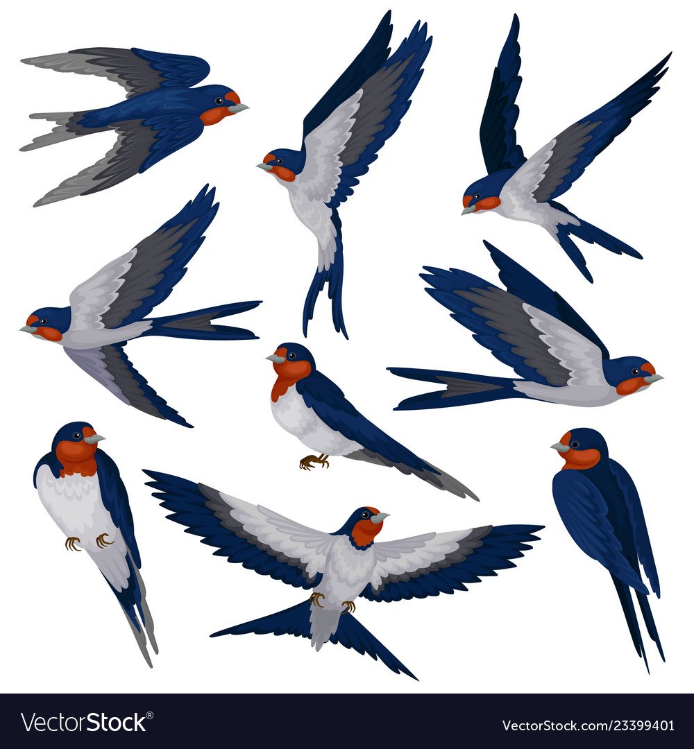 Птички ласточки для оформления