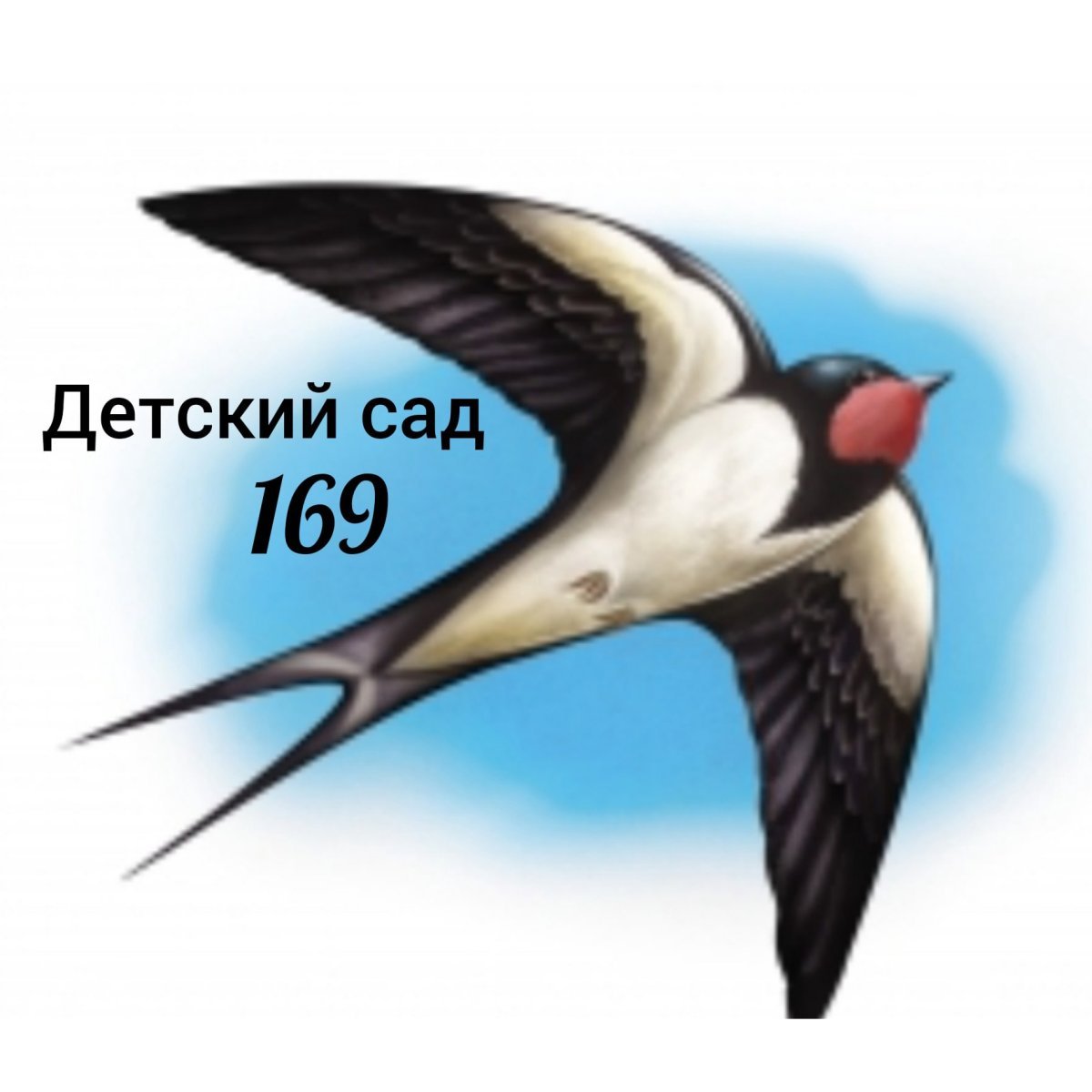 Перелетные птицы Ласточка для детей