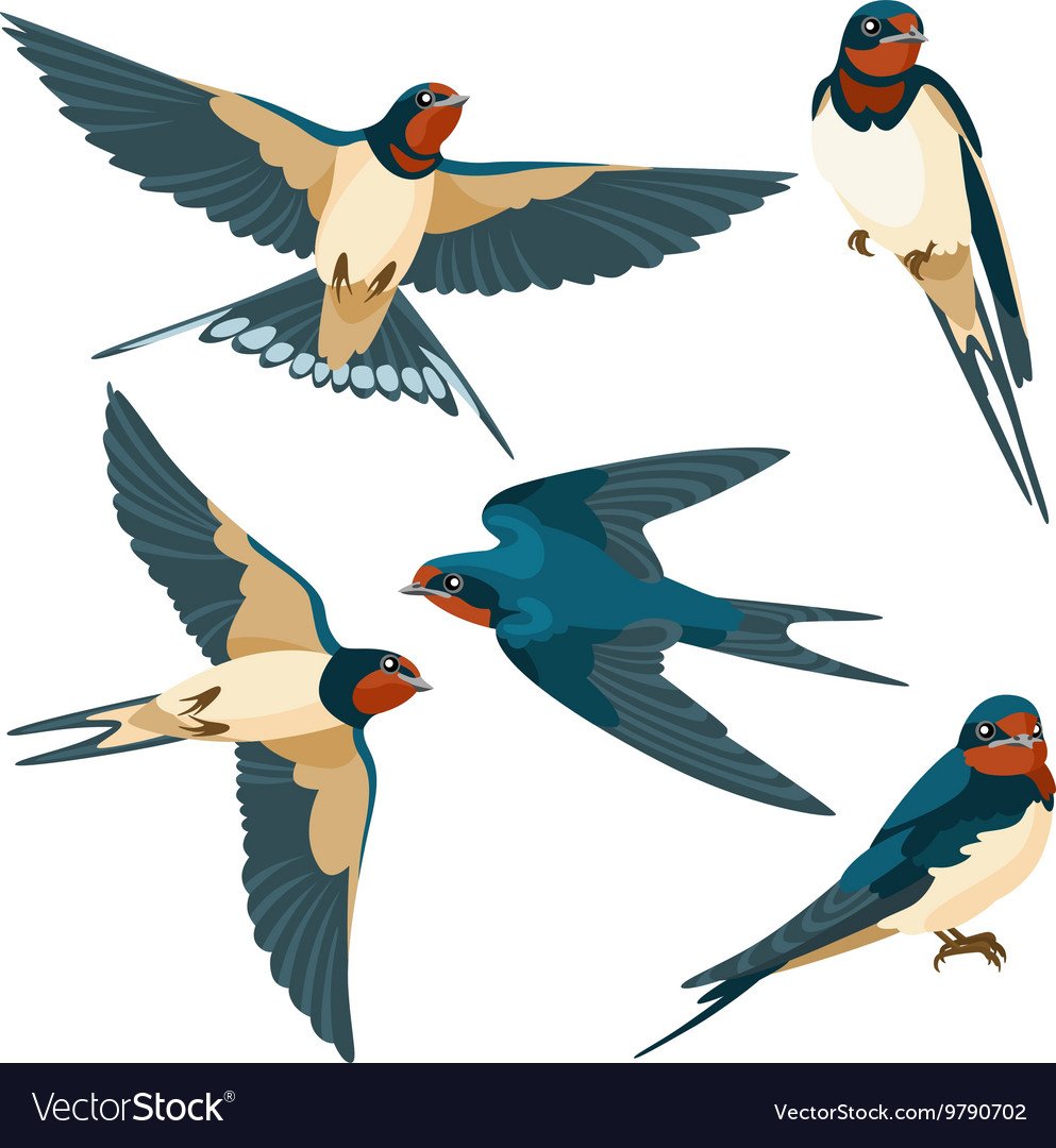 Ласточки в полете вектор