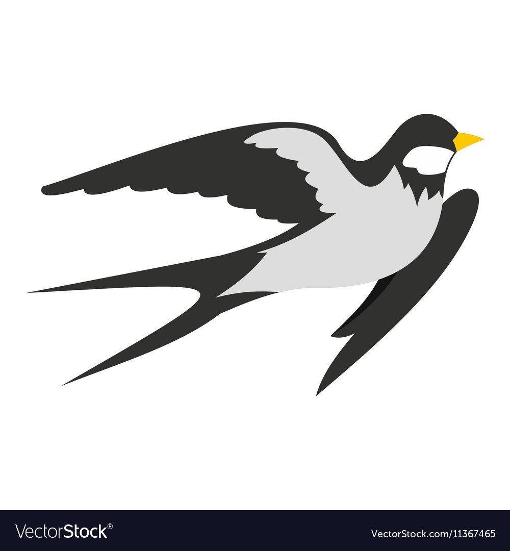 Ласточка черно белая