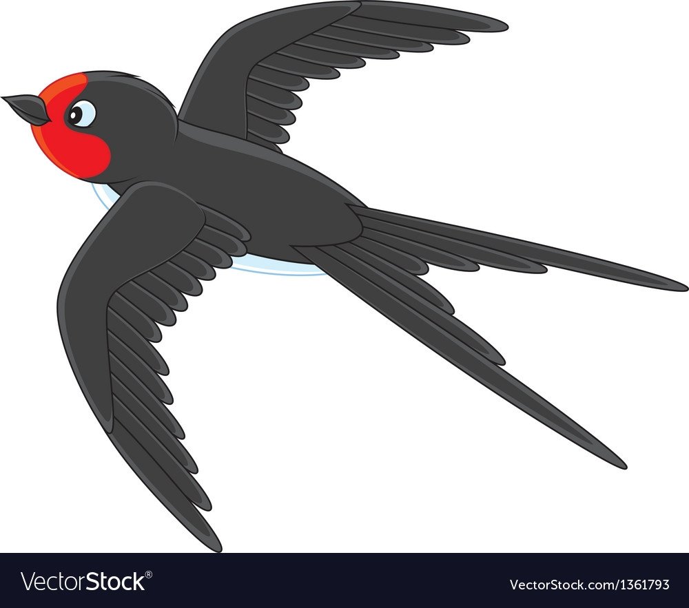 Птицы мультяшные Ласточка