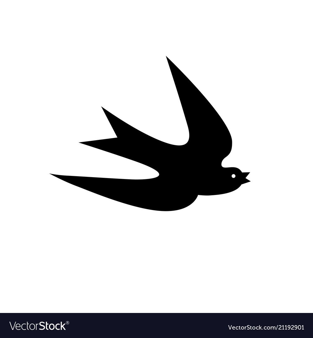 Тень ласточки