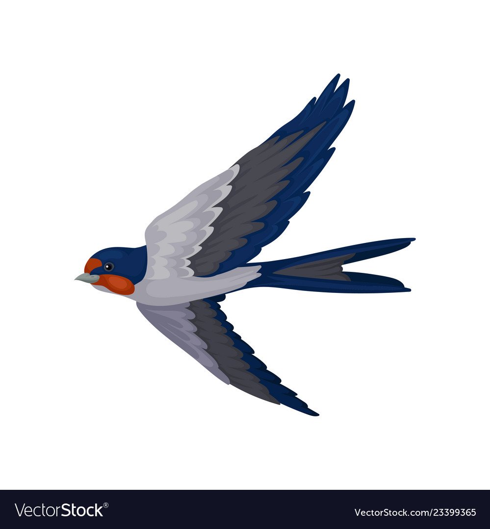 Ласточка из мультика вектор на прозрачном фоне