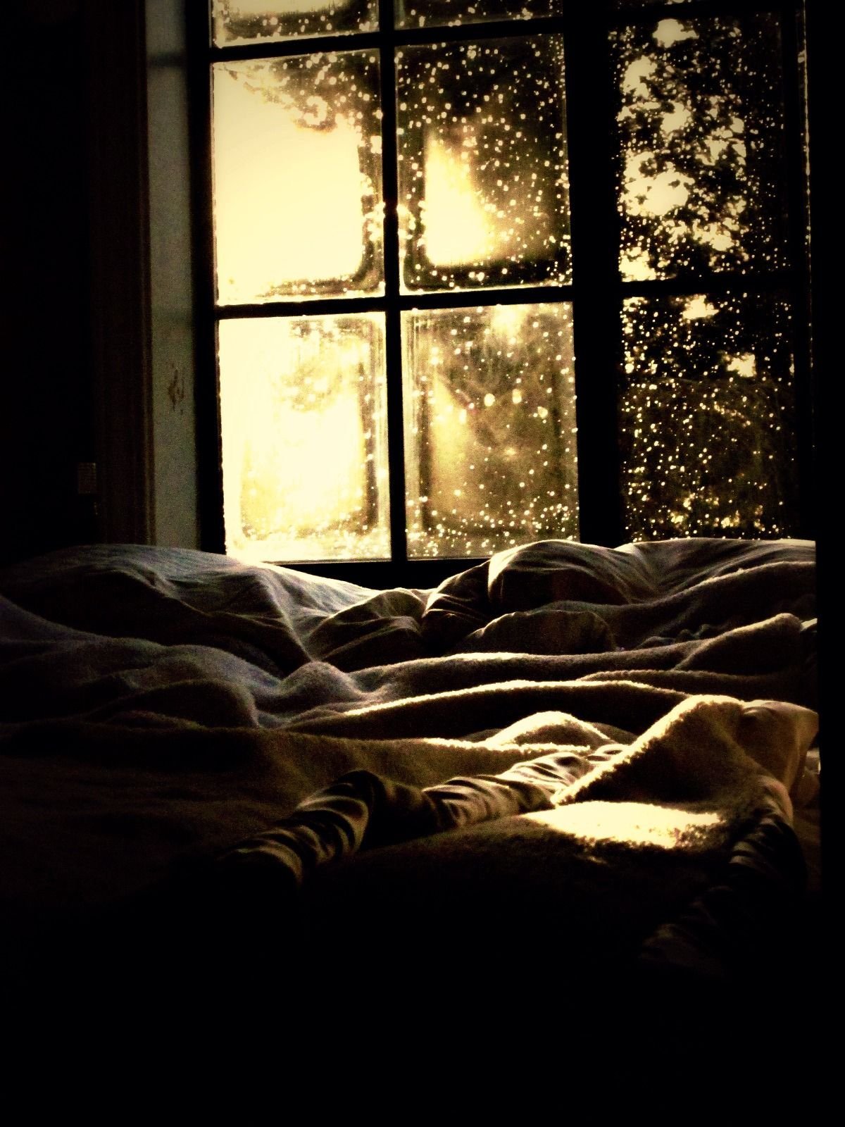 Дождь за окном