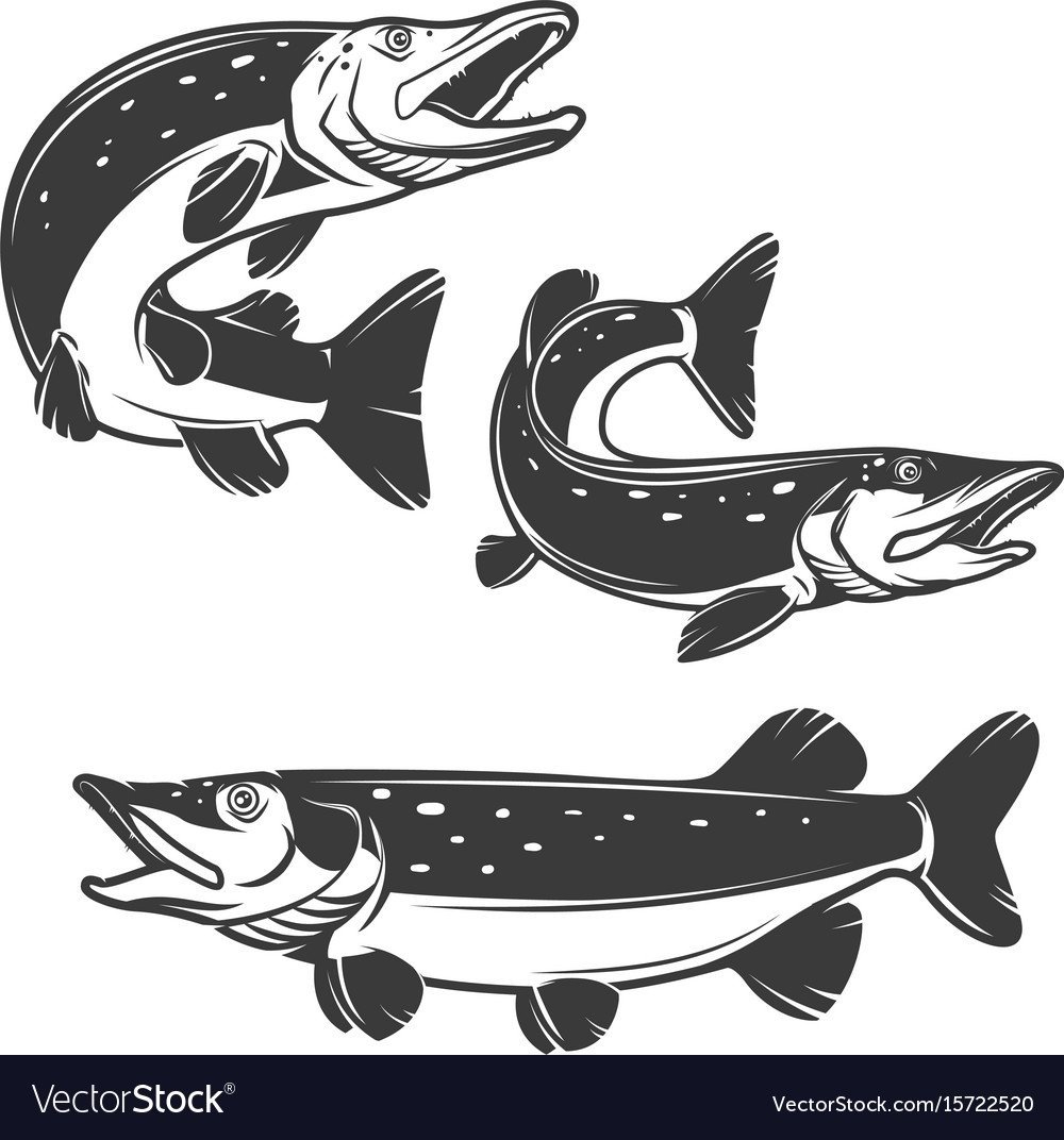 Щука мультяшный