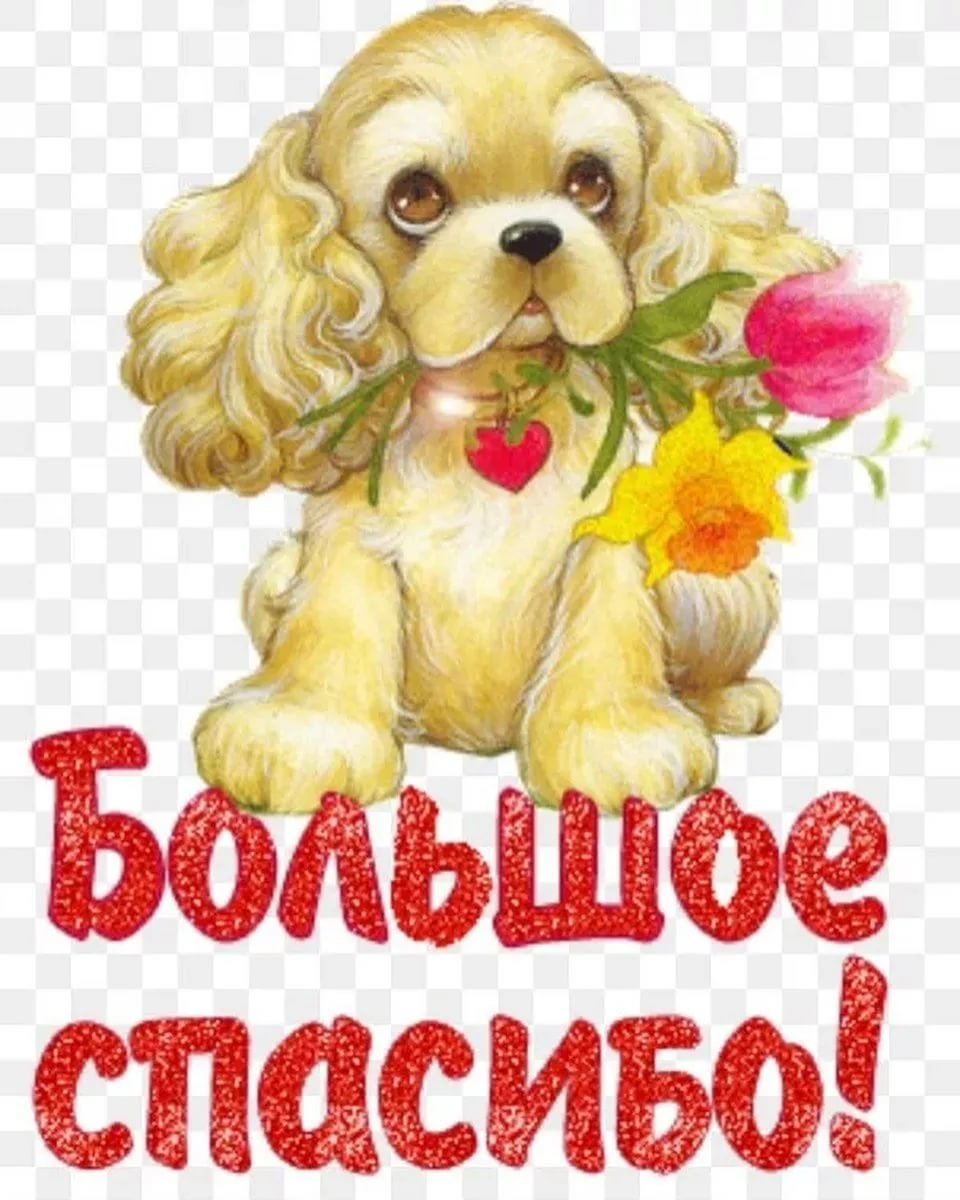 Открытки спасибо большое