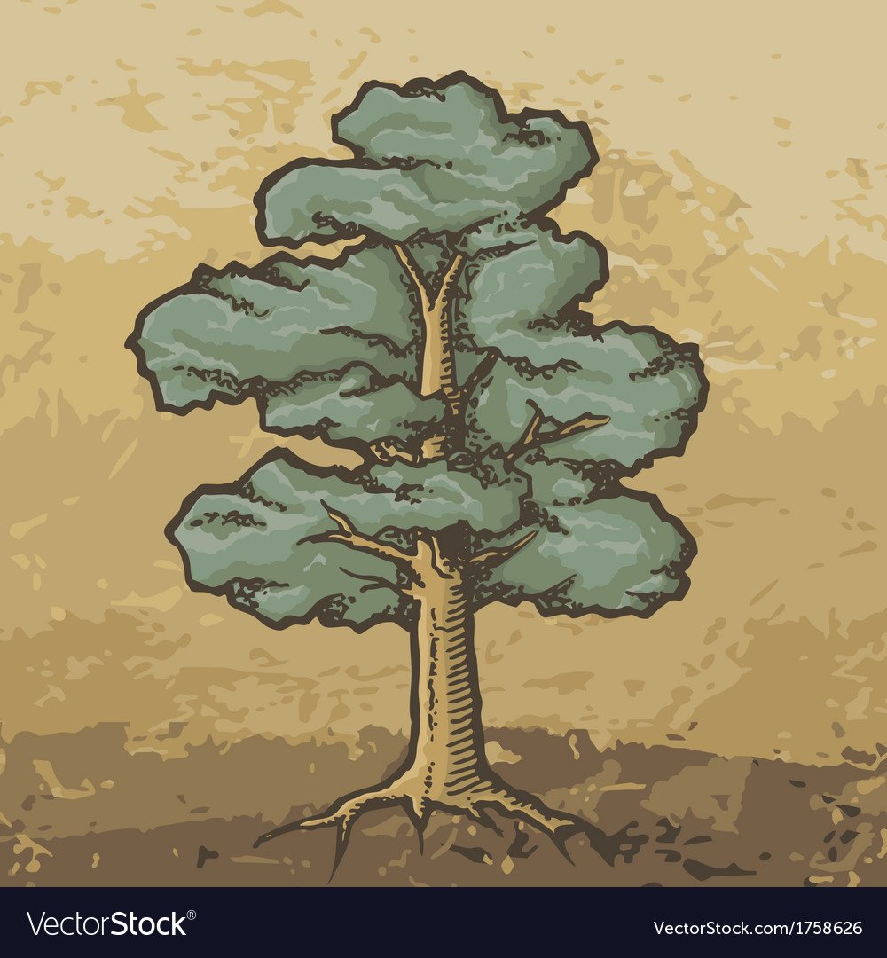 Эскиз дуба в цвете