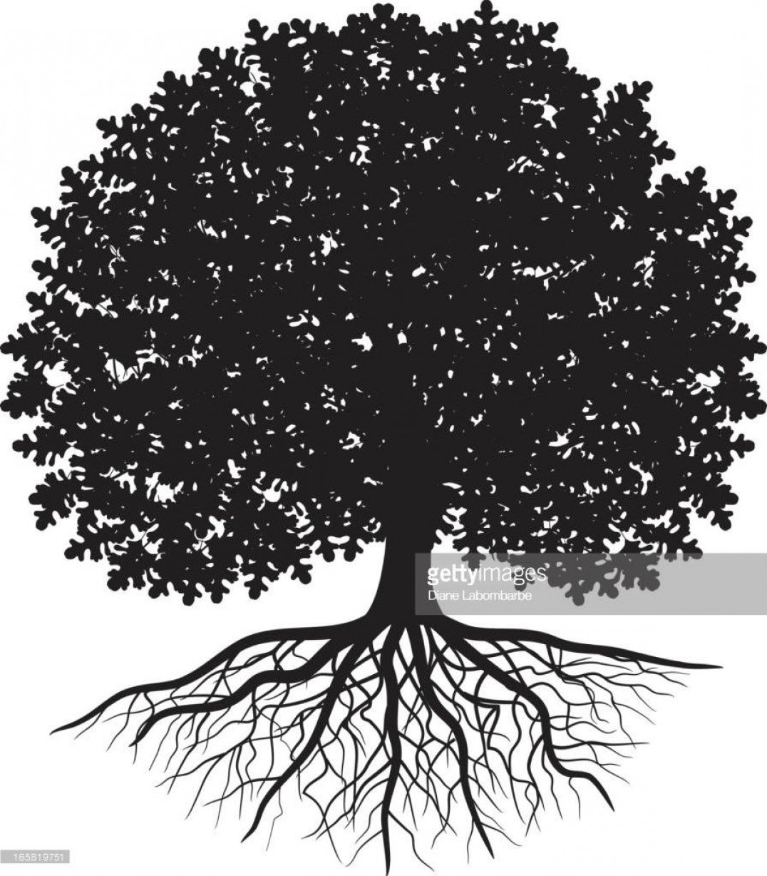 Силуэт большого дерева