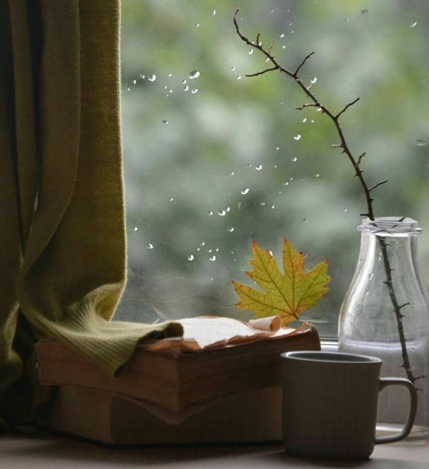 Осень дождь за окном