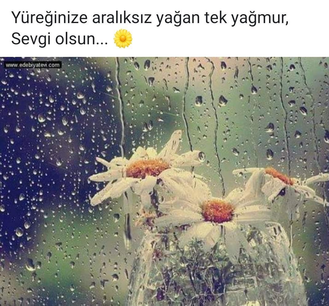 Чай и дождь за окном