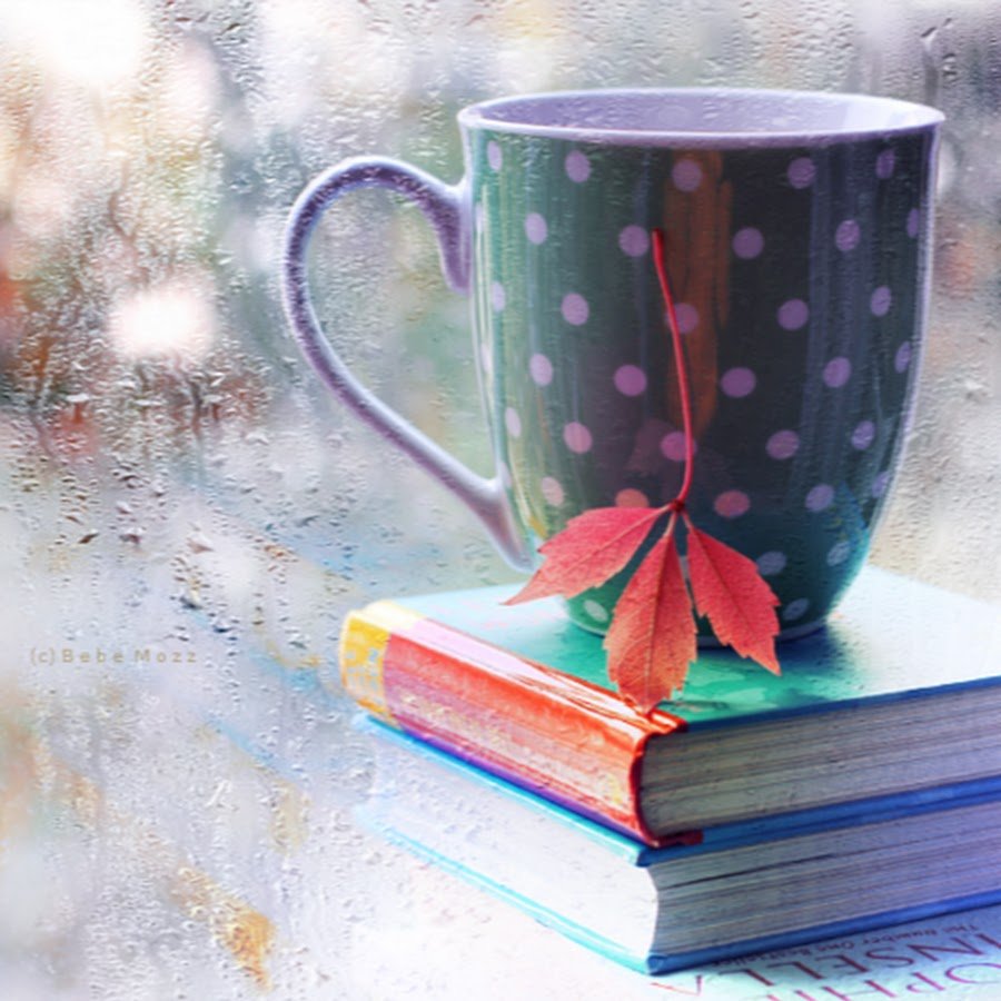 Книга доброе утро!