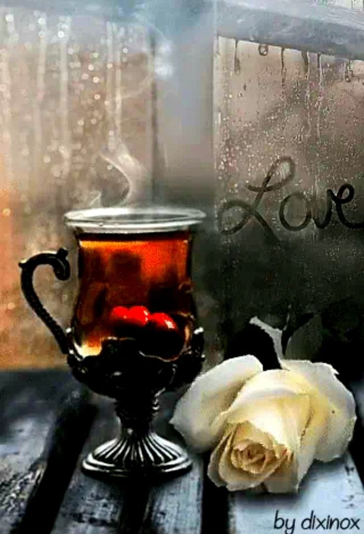 Приятного дождливого вечера