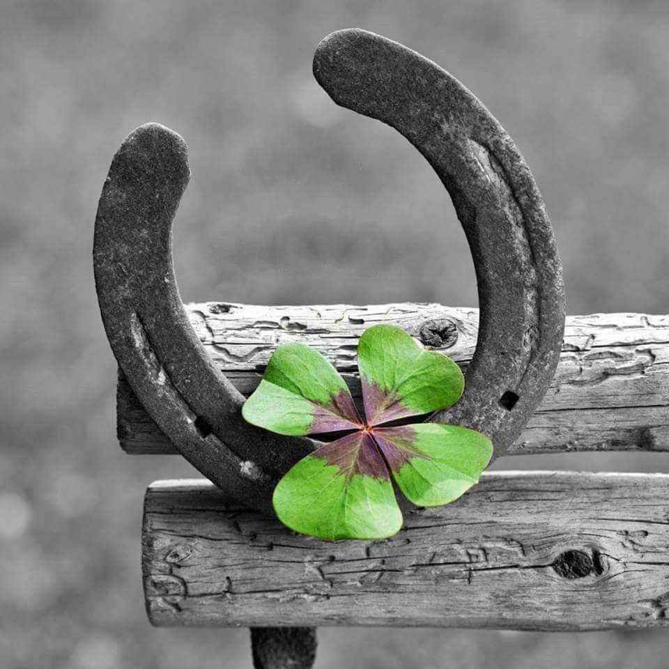 Подкова с клевером