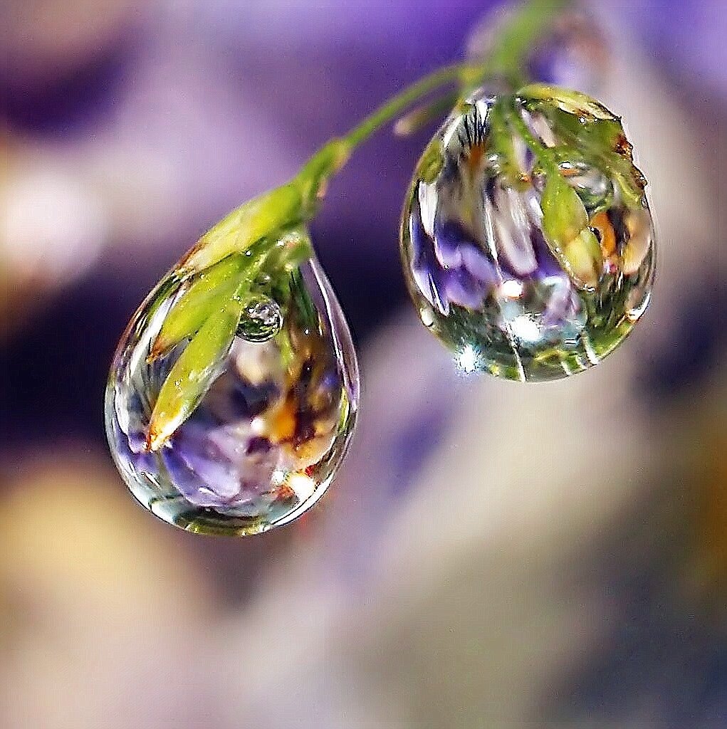 Отражение в капле воды